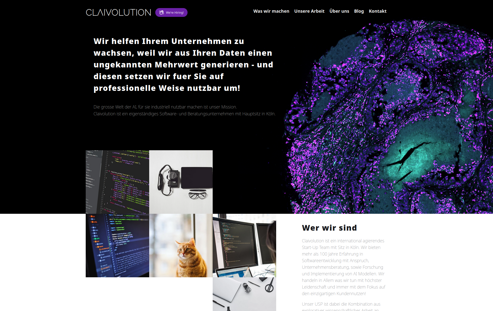 Screenshot of the Claivolution Website