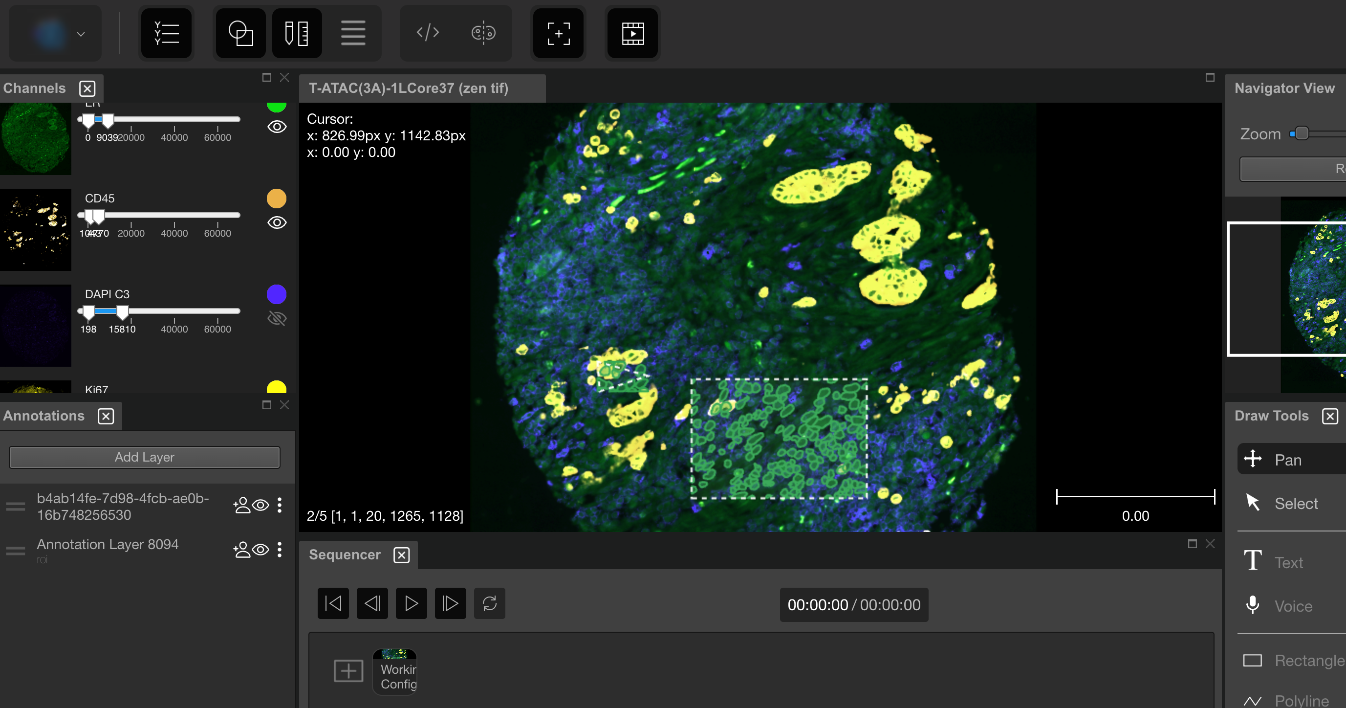 a screenshot of the viewer